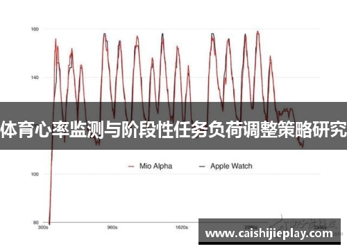 体育心率监测与阶段性任务负荷调整策略研究